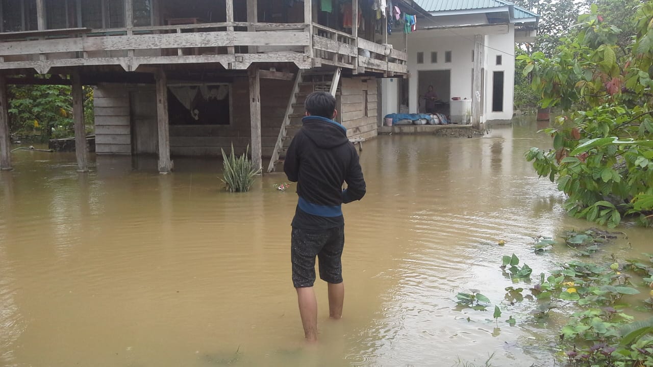 Akibat Banjir Petani Terancam Gagal Panen