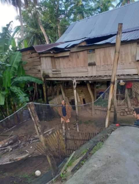 Pohon Kapuk Tumbang Timpa Rumah Warga Dusun Tonggona Selayar