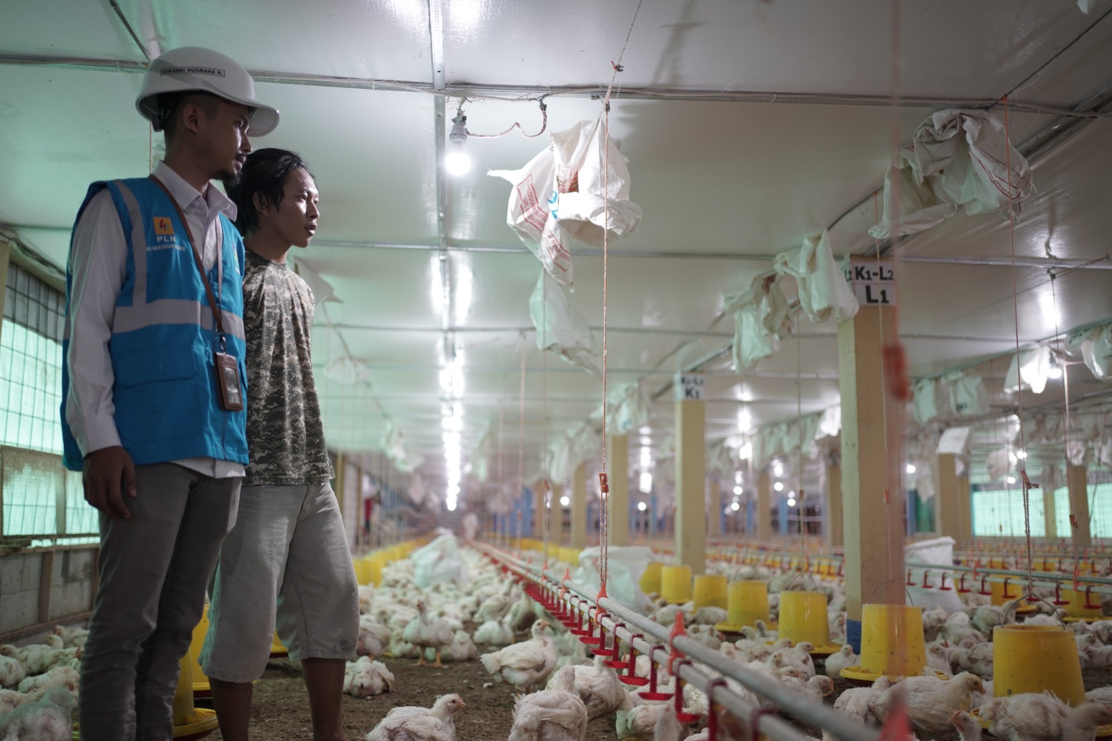 Peternak Ayam di Gowa Hemat hingga 30% Penggunaan Listrik PLN