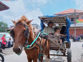 Menarik, Jeneponto Identik Kota Kuda, Berikut 10 Fakta Jeneponto Sebagai Salah Satu Kota Kuda di Indonesia