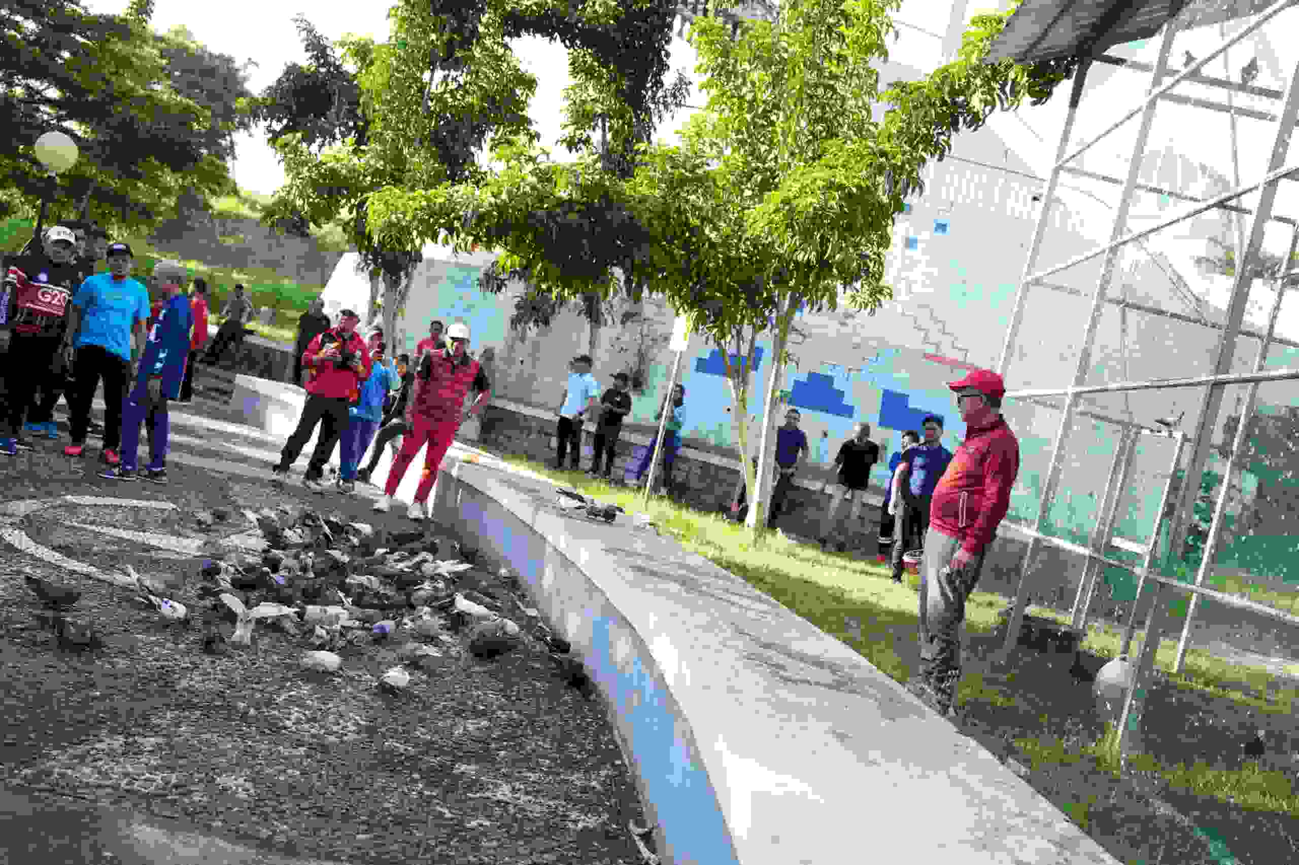 Sudah 500 Merpati “Bercanda” di Kompelks Pemprov Sulbar. Sekda Idris “Kita Dorong Menjadi Ikon Baru Sulbar