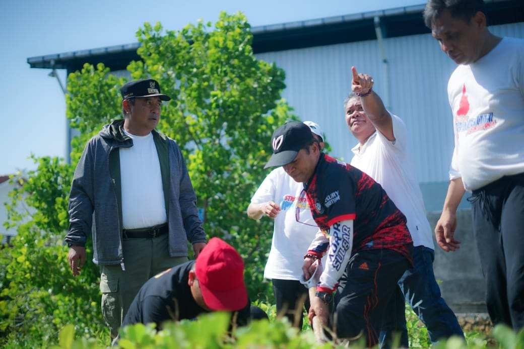 Pj Gubernur Sulbar Dorong Urusan Perpustakaan Masuk Rumpun Alokasi Anggaran Pendidikan