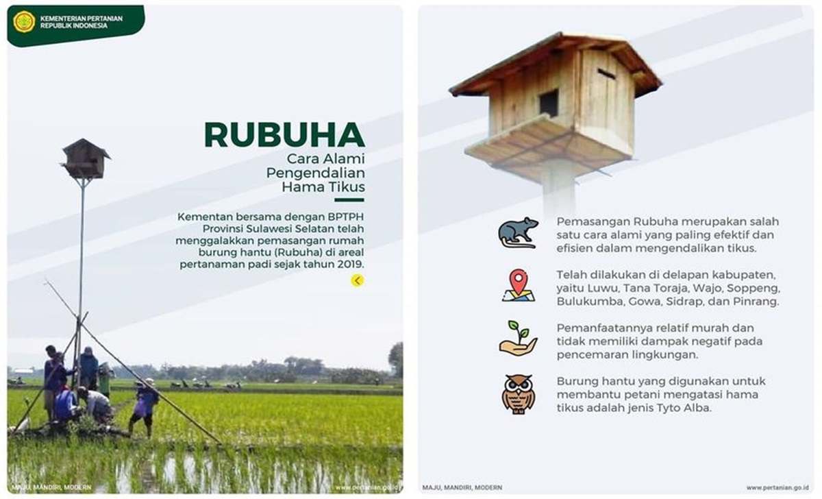 ilustrasi Rubuha