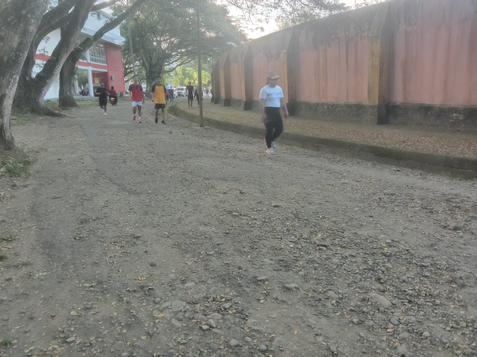 Bebas-Siti Komitmen Benahi Fasilitas Olahraga dan Jalan di Polman