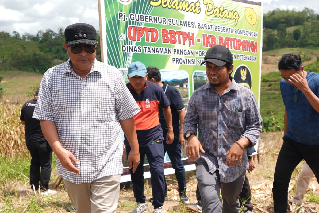 Kunjungan PJ Gubernur Sulbar : Perkebunan Batupanga Luyo Jadi Prioritas