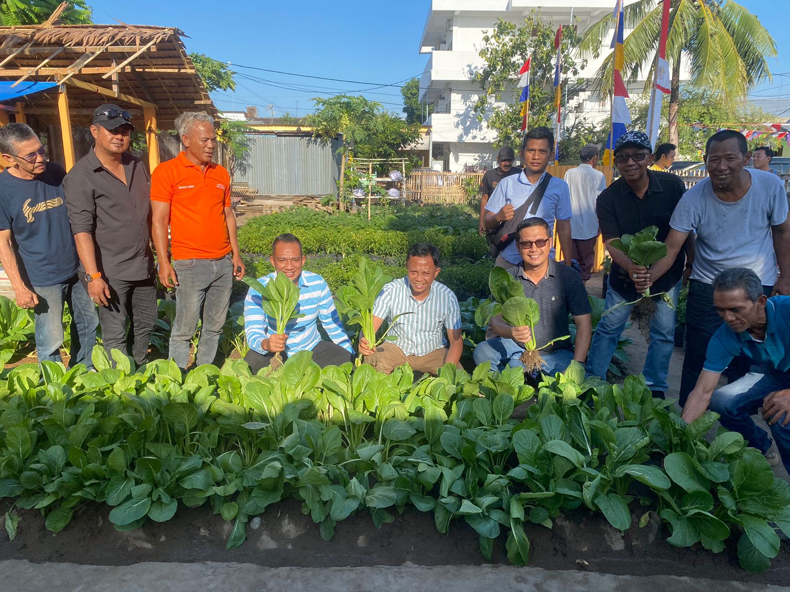 Plt Kepala Dinas Ketahanan Pangan Alamsyah Sahabuddin Tinjau Perkebunan di Kelurahan Bontorannu Kecamatan Mariso