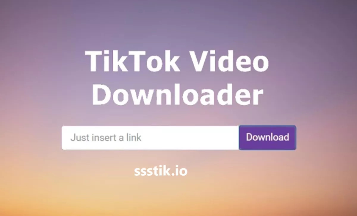 Platform Download Video TikTok SSSTIK