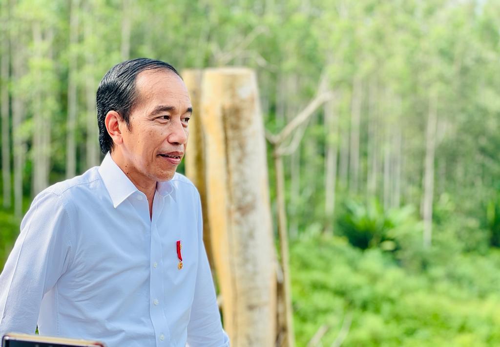 Presiden Joko Widodo Saat Berada di Ibu Kota Nusantara (IKN)