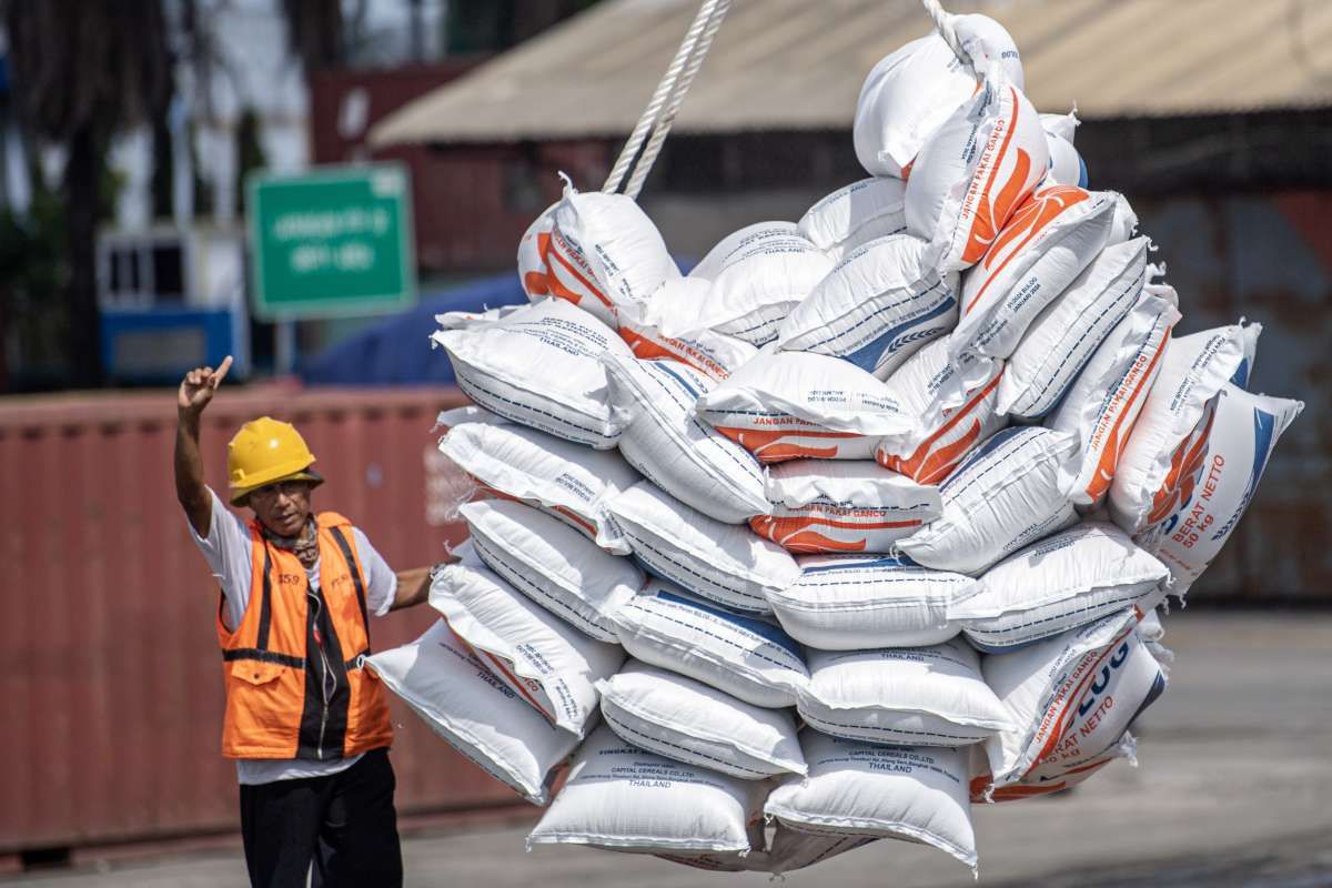 Beras Impor Indonesia Tembus 2,9 Juta Ton per Oktober 2024