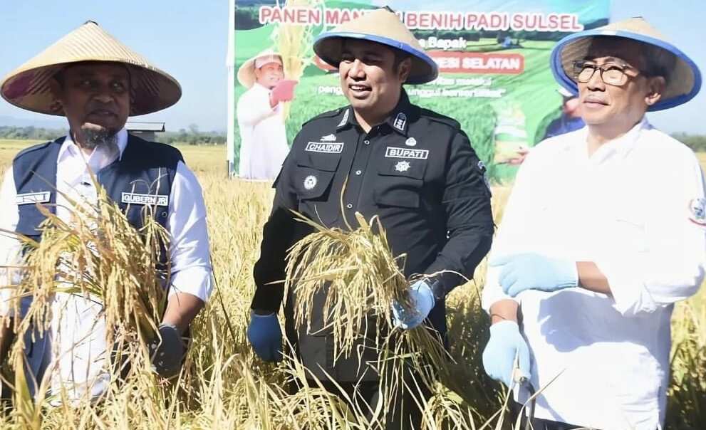 Bupati Maros Dampingi Gubernur Sulsel di Acara Panen Padi Program “Benih Mandiri”