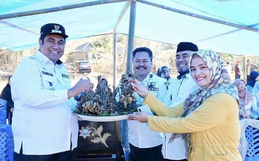 Bupati Maros Panen Kacang Tanah Bersama Warga Desa Sawaru