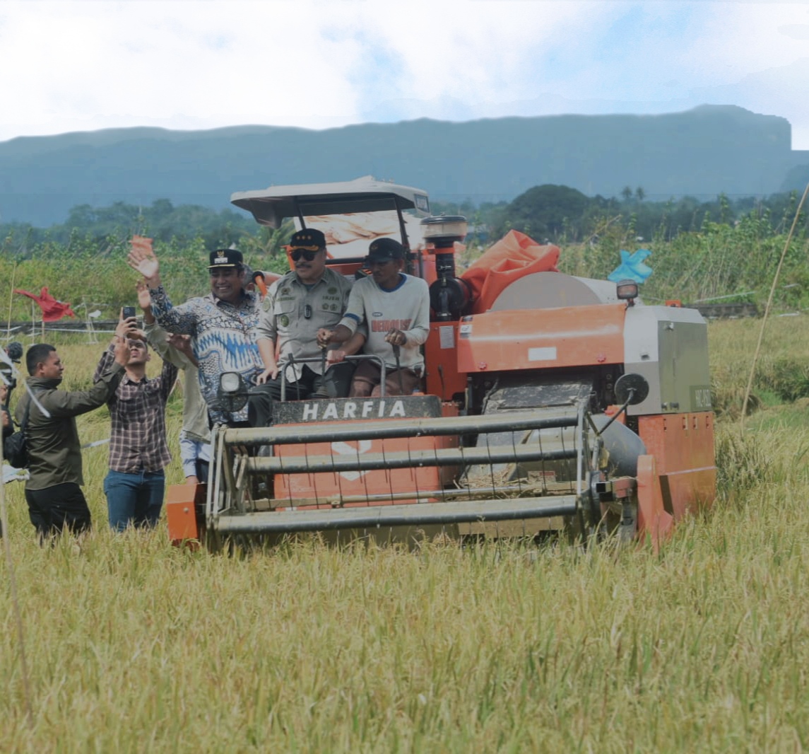 Bupati Maros Turun Langsung Ke Area Persawahan Untuk Meninjau Panen Padi