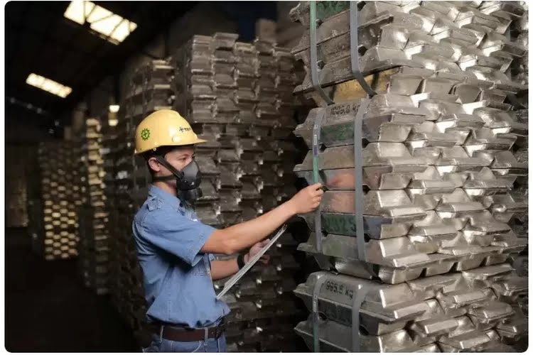 Kinerja saham TINS 1263469505