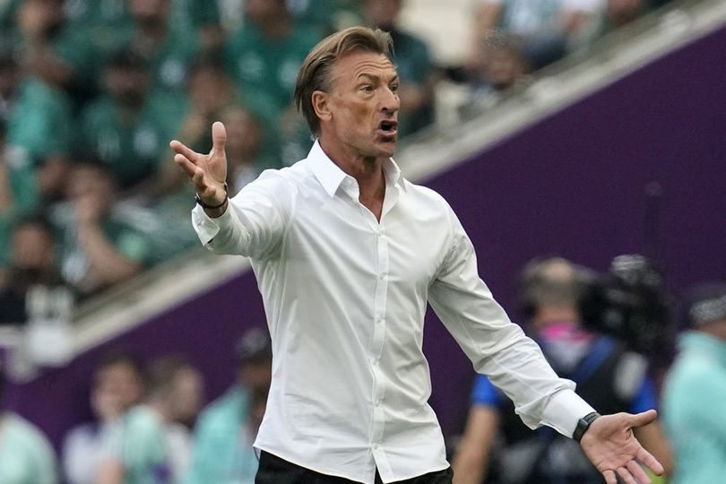 Pelatih Tim Nasional Arab Saudi Herve Renard