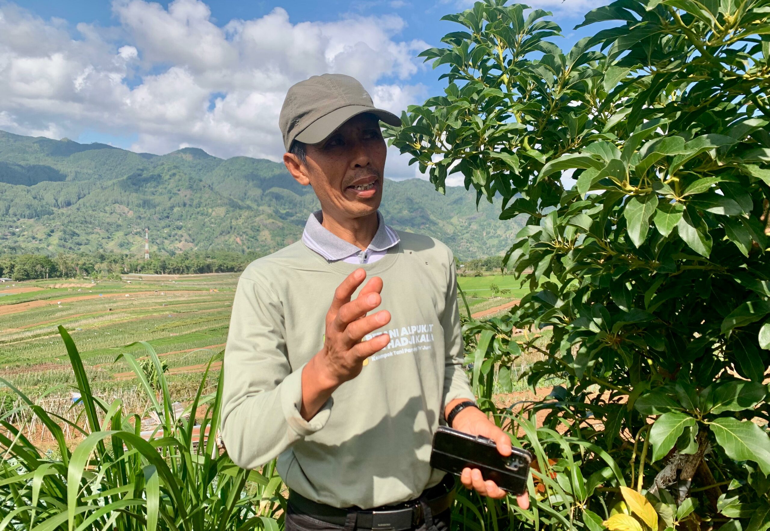 Petani Alpukat Parang Ta’Juru Akui Bantuan Budidaya LAZ Kalla Mampu Tingkatkan Ekonomi Masyarakat
