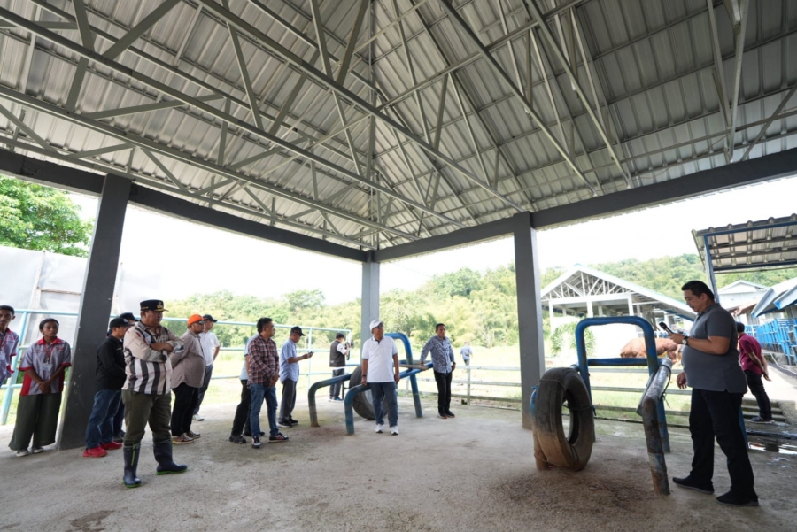 Pemerintah Provinsi dan Dewan Perwakilan Rakyat Daerah Sulawesi Barat Sepakat Membentuk Dinas Peternakan
