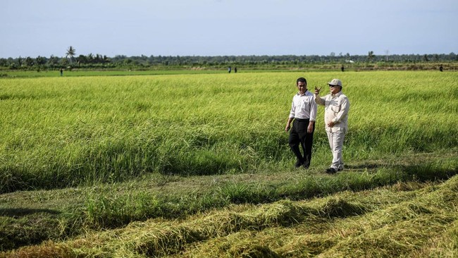 Amran Optimis dengan Program Cetak Sawah di Wanam Papua