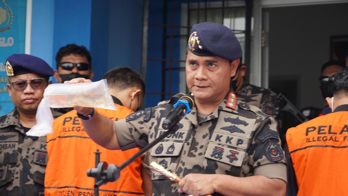 Kementerian Kelautan dan Perikanan Berhasil Gagalkan Penyelundupan 52 Ribu Benih Lobster Ilegal