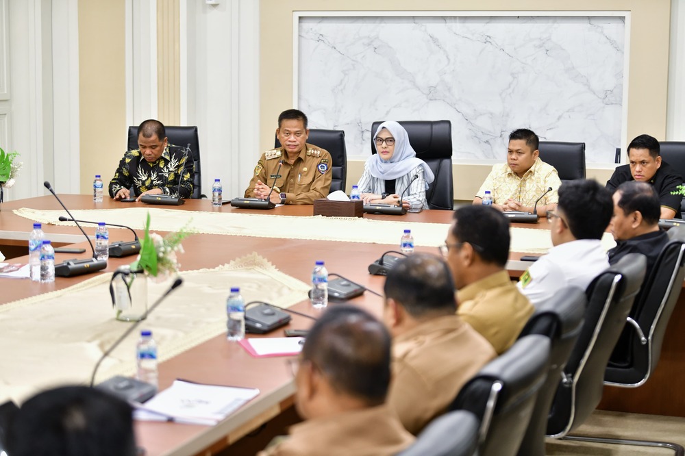 Pemprov dan DPRD Sulsel Bahas Rencana Program Pemeriksaan Kesehatan Gratis