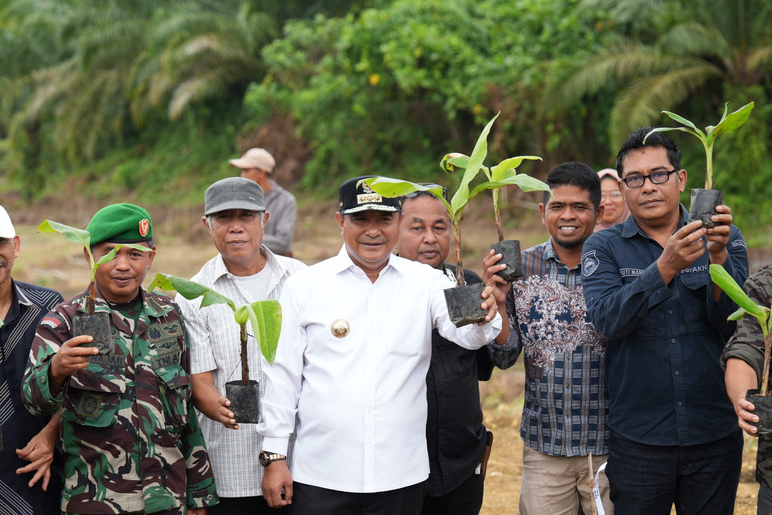 PJ Gubernur Sulbar, Bahtiar Baharuddin Saat Menghadiri Acara Penanaman Pisang Cavendish