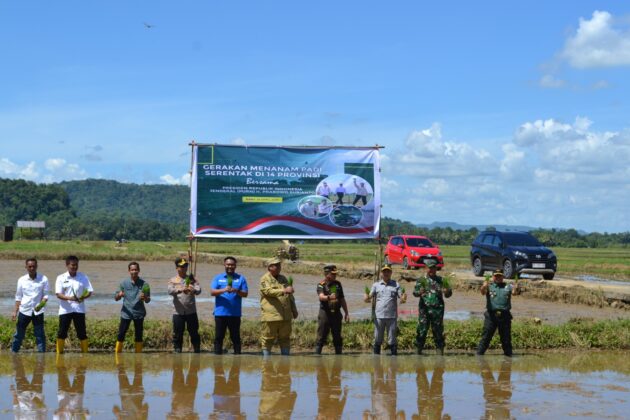 Kecamatan di Maros Belum Semuanya Terapkan Sistem Pertanian IP 300
