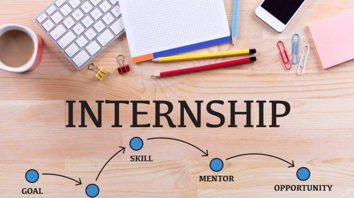 ilustrasi magang internship