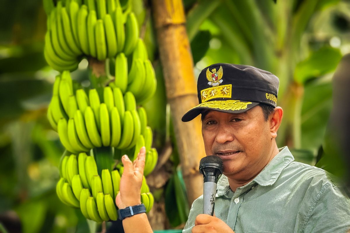 Bahtiar Baharuddin (Ist)