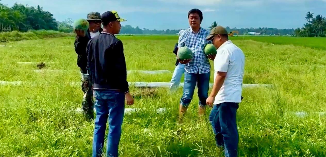 Apdesi Sulsel Apresiasi Kejari Lutim, Satukan Penegakan Hukum dan Ketahanan Pangan