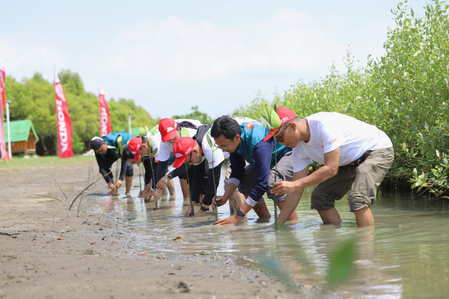 Aksi Lingkungan AHM Tanam Mangrove di Pesisir Karawang