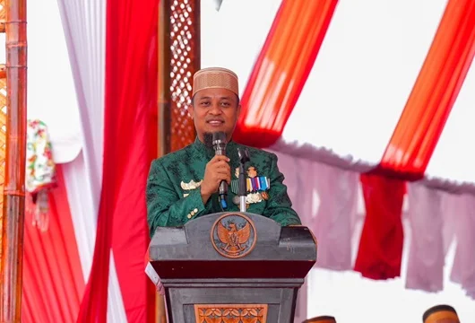 Gubernur Sulsel Instruksikan Penundaan Kenaikan Pajak Daerah