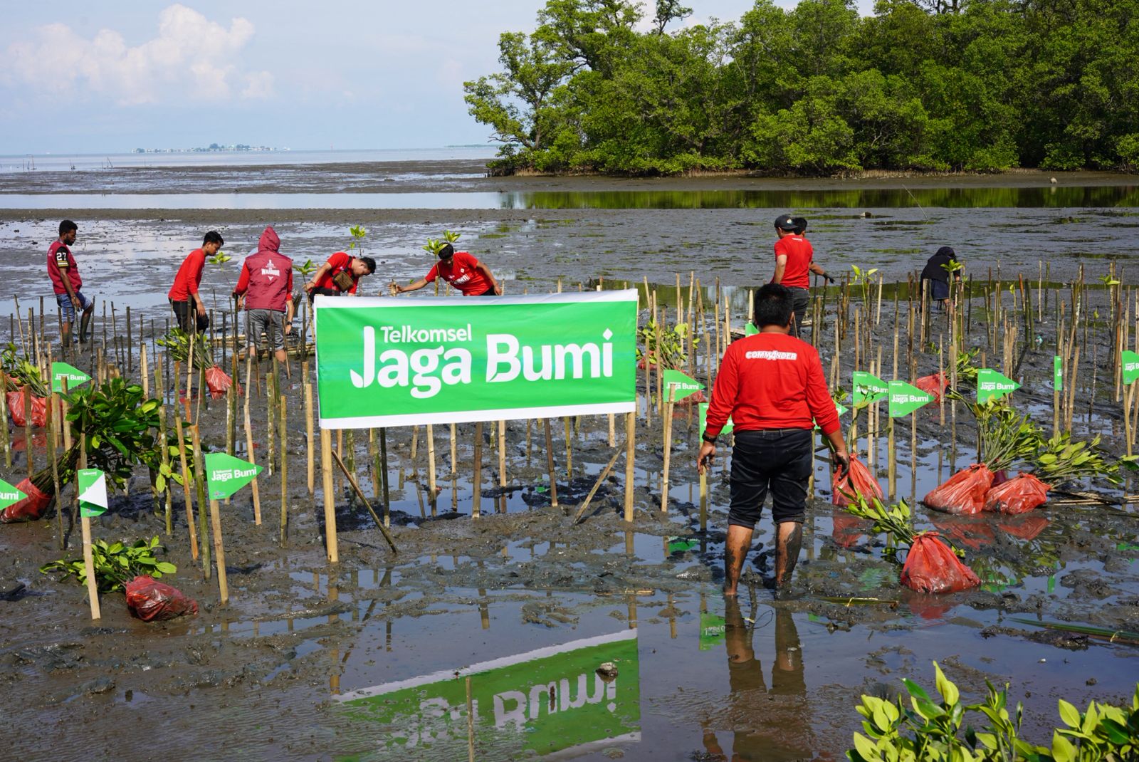 Telkomsel dan AKADS Tanam 1000 Bibit Mangrove di Pangkep Lewat Program Telkomsel Jaga Bumi