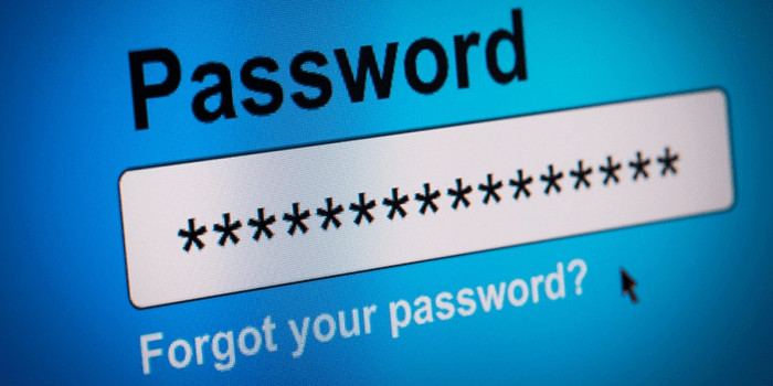 Ilustrasi Password