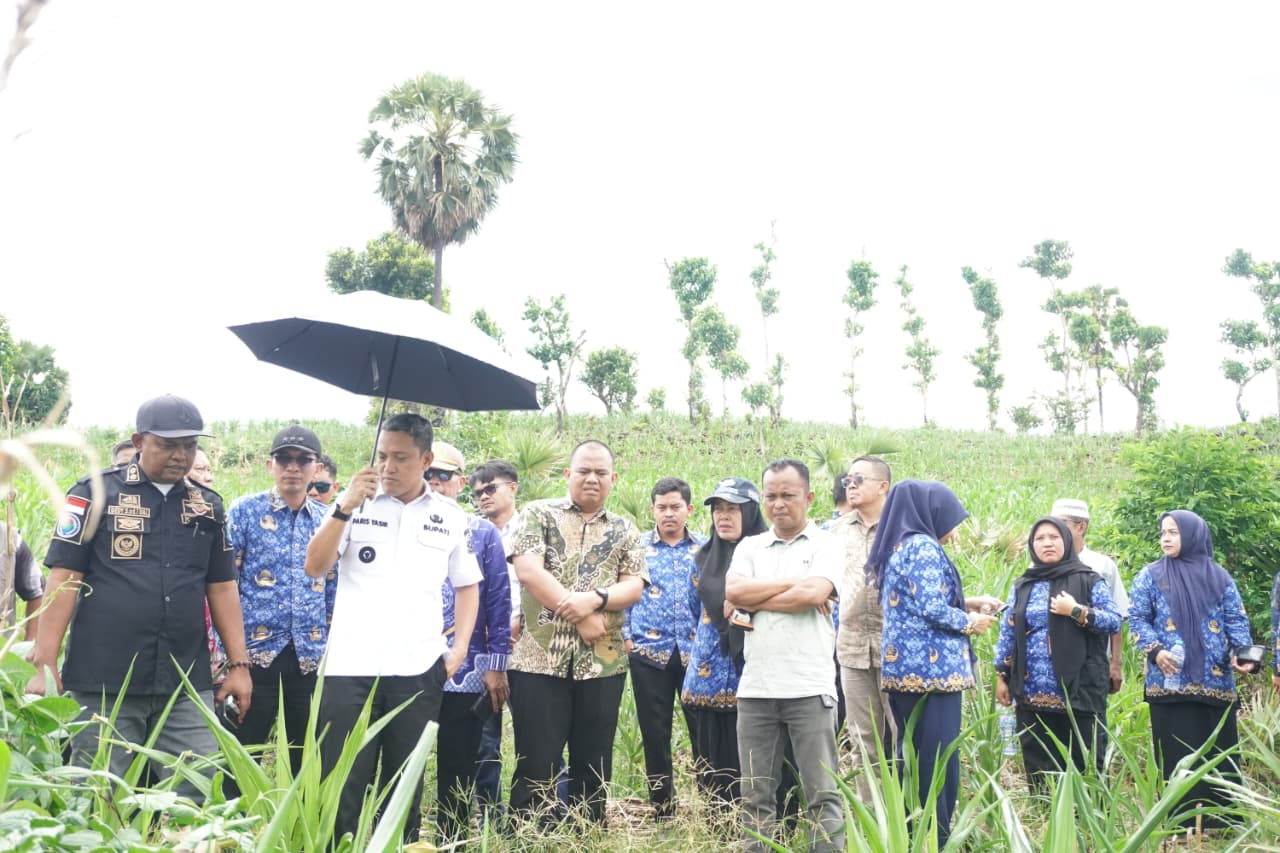 IMG 20260409 WA0022