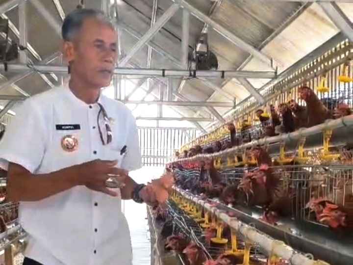 Bumdes Jejalen Jaya Jual Telur di Bawah Harga Pasar, Warga dan UMKM Jadi Prioritas