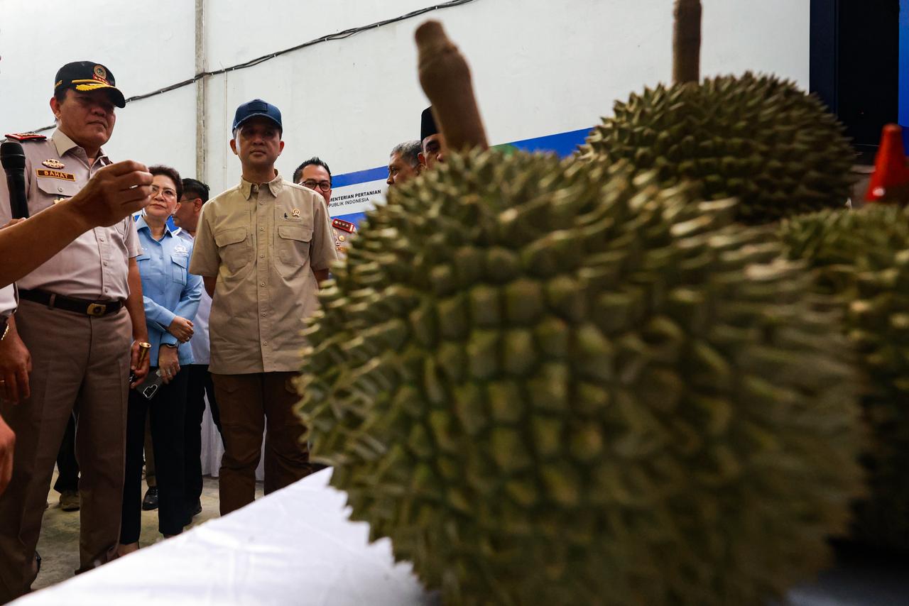459 Ton Durian Parigi Moutong Tembus Ekspor, Mentrans Iftitah: Bukti Sukses Transmigrasi